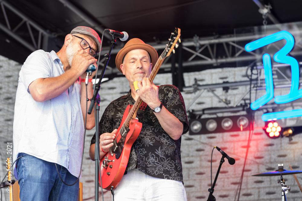  Greyhound Georg, Andy GrÃ¼nert, 
