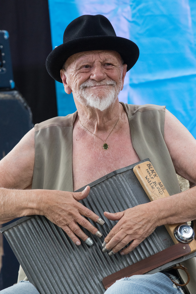 Halfblind Washboard Willie
