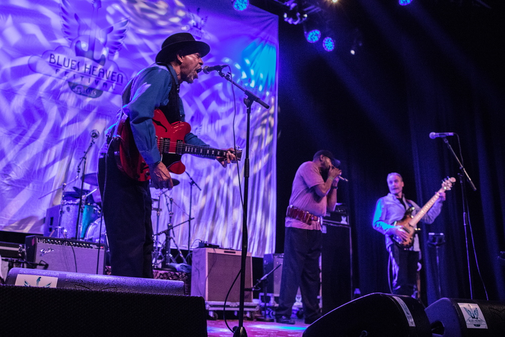 John Primer, Steve Bell, Dave Forte, 
