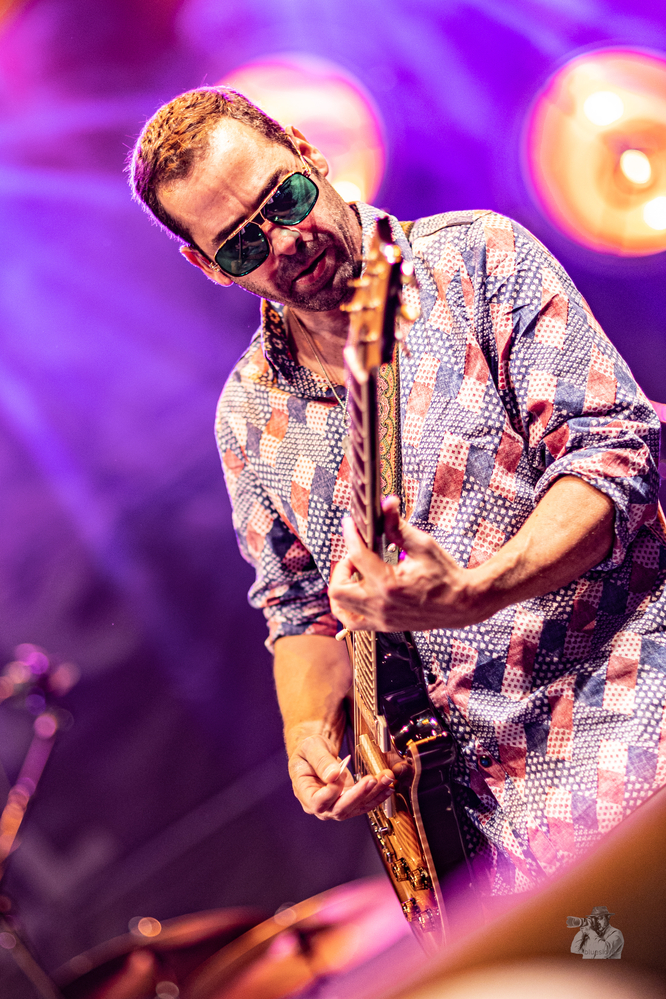 Albert Castiglia, 
