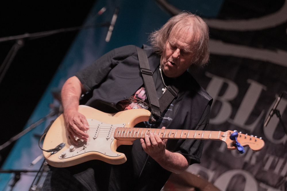 Walter Trout, 
