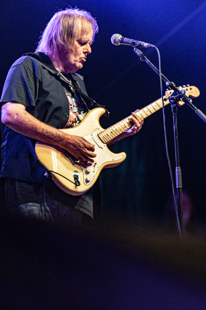 Walter Trout, 
