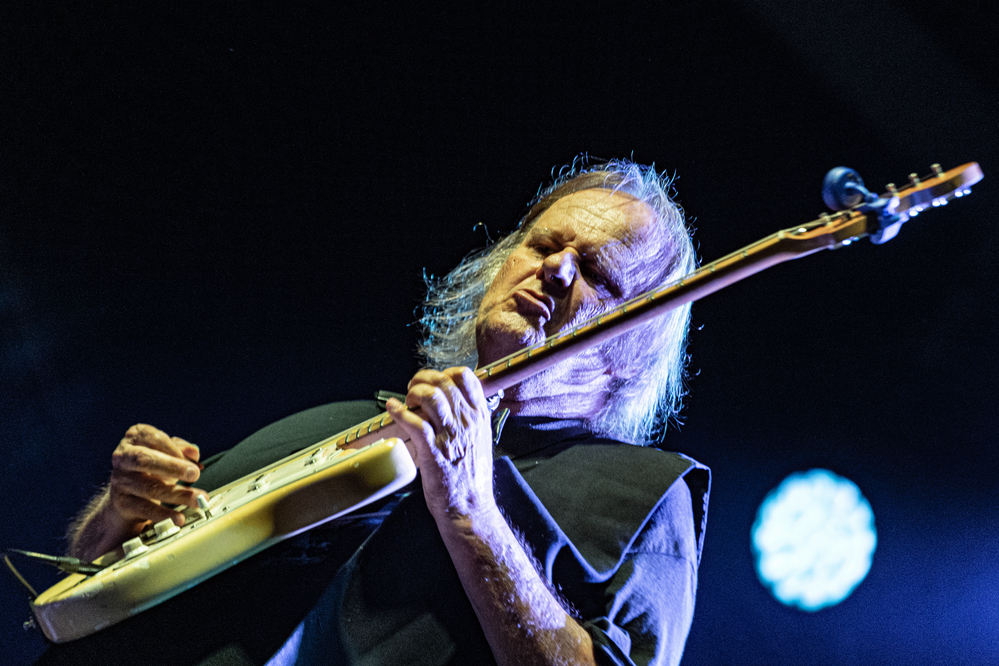 Walter Trout, 
