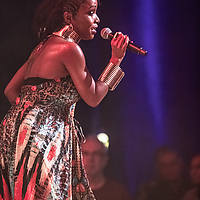 Dateiname=2R5A5327.JPG
Dateigröße=23584KB
Abmessungen: 4480x6720
hinzugefügt am: 17. November 2021 2R5A5327.JPG