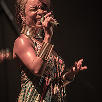 Dateiname=2R5A5329.JPG
Dateigröße=10142KB
Abmessungen: 4111x6167
hinzugefügt am: 17. November 2021 2R5A5329.JPG