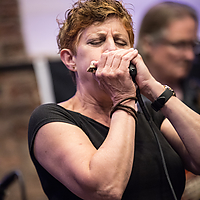 Dateiname=393A0087.JPG
Dateigröße=8235KB
Abmessungen: 4480x6720
hinzugefügt am: 22. Juni 2021 393A0087.JPG