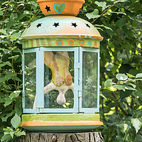 Dateiname=393A0454.JPG
Dateigröße=5224KB
Abmessungen: 4276x6414
hinzugefügt am: 13. Juli 2021 393A0454.JPG