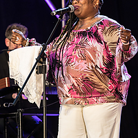 Dateiname=393A0974.JPG
Dateigröße=5768KB
Abmessungen: 3744x5616
hinzugefügt am: 30. Juli 2021 393A0974.JPG