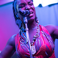 Dateiname=393A5652.JPG
Dateigröße=13303KB
Abmessungen: 4480x6720
hinzugefügt am: 18. November 2021 393A5652.JPG