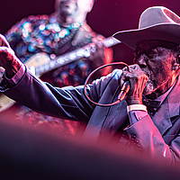 Dateiname=6W8A4341~1.jpg
Dateigröße=5237KB
Abmessungen: 3913x2609
hinzugefügt am: 11. Mai 2023 6W8A4341~1.jpg