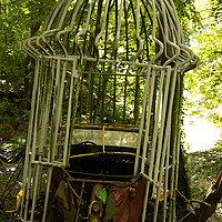 Dateiname=6W8A4610.JPG
Dateigröße=18729KB
Abmessungen: 3648x5472
hinzugefügt am: 03. Juli 2022 6W8A4610.JPG