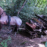 Dateiname=6W8A4621.JPG
Dateigröße=20709KB
Abmessungen: 5472x3648
hinzugefügt am: 03. Juli 2022 6W8A4621.JPG