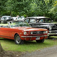 Dateiname=6W8A4750.JPG
Dateigröße=3439KB
Abmessungen: 5472x3648
hinzugefügt am: 09. Juli 2022 6W8A4750.JPG