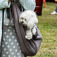 Dateiname=6W8A4764-2.JPG
Dateigröße=430KB
Abmessungen: 1624x1624
hinzugefügt am: 09. Juli 2022 6W8A4764-2.JPG