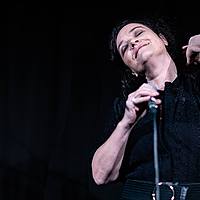 Dateiname=6W8A9733.jpg
Dateigröße=690KB
Abmessungen: 5099x3174
hinzugefügt am: 27. November 2023 6W8A9733.jpg