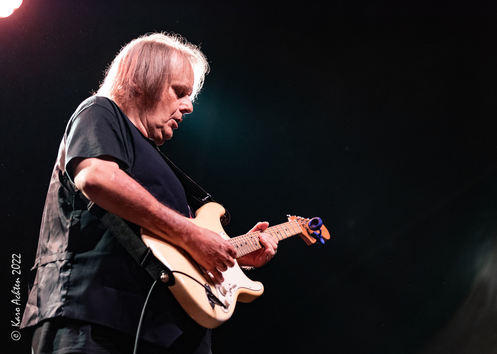 Walter Trout, 
