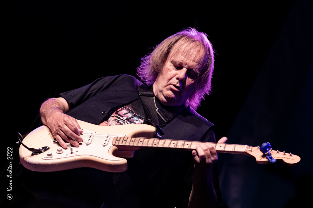 Walter Trout, 
