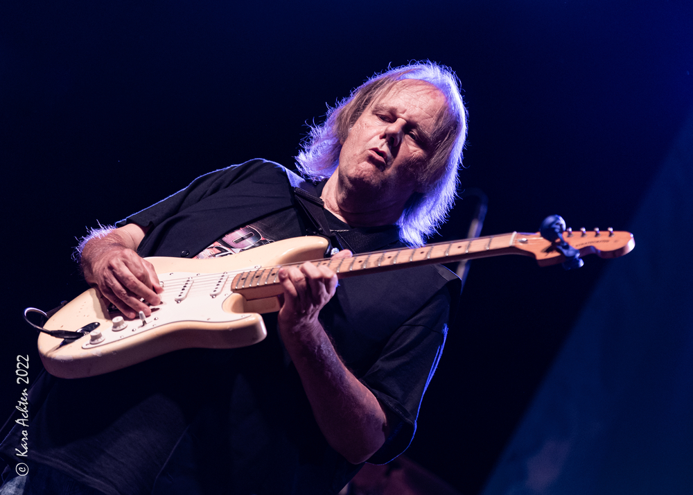 Walter Trout, 
