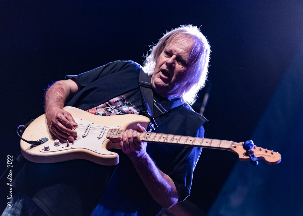 Walter Trout, 
