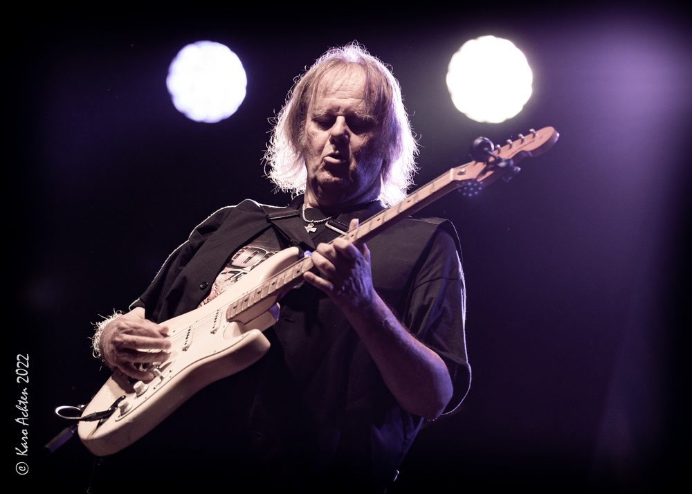 Walter Trout, 
