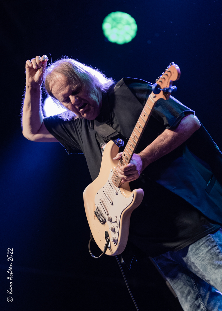 Walter Trout, 
