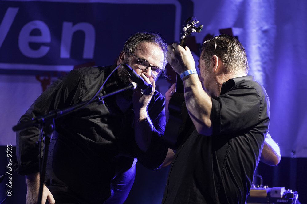 Wouter Celis, Martin Ubaghs, Doghouse Sam, 
