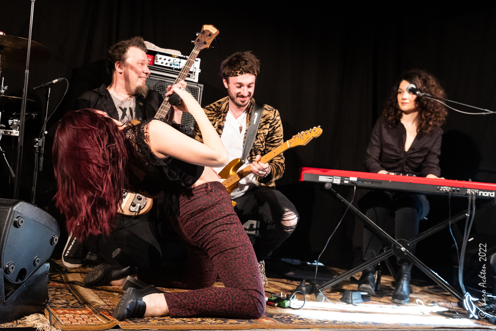 Tomek Gehrman, Krissy Matthews, Whitney Shay, Katarina Pejak, 
