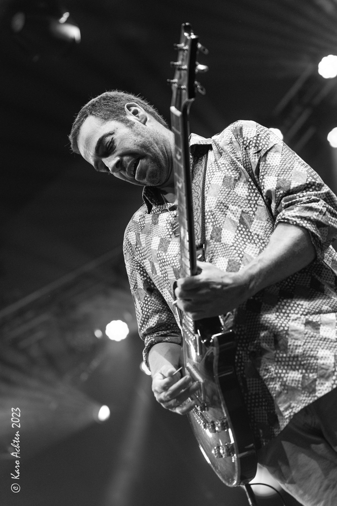 Albert Castiglia, 
