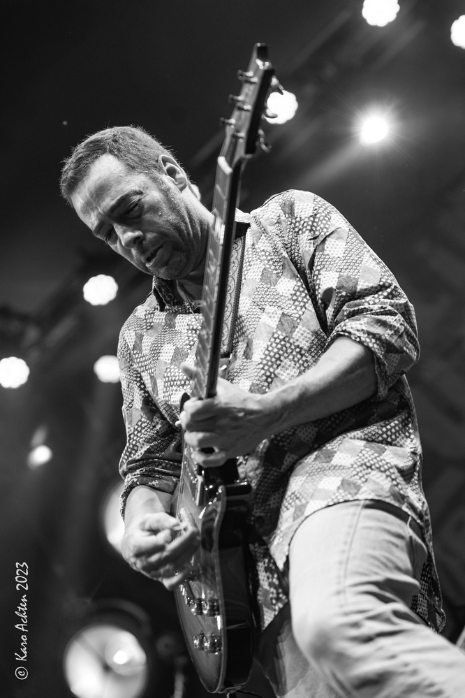 Albert Castiglia, 
