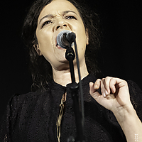 Dateiname=AZ8A0315~1.jpg
Dateigröße=1425KB
Abmessungen: 1734x2427
hinzugefügt am: 25. November 2023 AZ8A0315~1.jpg