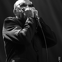 Dateiname=AZ8A0495~0.jpg
Dateigröße=6903KB
Abmessungen: 2999x4199
hinzugefügt am: 18. November 2022 AZ8A0495~0.jpg