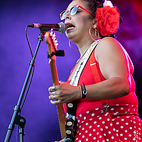 Dateiname=AZ8A2159.JPG
Dateigröße=8219KB
Abmessungen: 3067x4294
hinzugefügt am: 27. August 2022 AZ8A2159.JPG