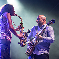 Dateiname=AZ8A2480.JPG
Dateigröße=10900KB
Abmessungen: 4674x3339
hinzugefügt am: 27. August 2022 AZ8A2480.JPG