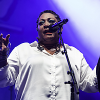 Dateiname=AZ8A2726~0.jpg
Dateigröße=4285KB
Abmessungen: 3863x2575
hinzugefügt am: 30. August 2023 AZ8A2726~0.jpg