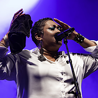 Dateiname=AZ8A2729.jpg
Dateigröße=3859KB
Abmessungen: 3765x2510
hinzugefügt am: 30. August 2023 AZ8A2729.jpg