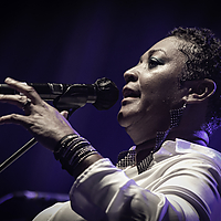 Dateiname=AZ8A2917.jpg
Dateigröße=1399KB
Abmessungen: 2269x1621
hinzugefügt am: 30. August 2023 AZ8A2917.jpg