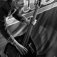 Dateiname=AZ8A4126~0.jpg
Dateigröße=13246KB
Abmessungen: 3648x5472
hinzugefügt am: 28. Januar 2023 AZ8A4126~0.jpg