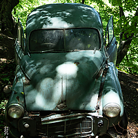 Dateiname=AZ8A8636.jpg
Dateigröße=6948KB
Abmessungen: 3448x4827
hinzugefügt am: 05. Juli 2022 AZ8A8636.jpg