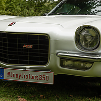 Dateiname=AZ8A8861.jpg
Dateigröße=4658KB
Abmessungen: 4808x3205
hinzugefügt am: 09. Juli 2022 AZ8A8861.jpg