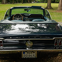 Dateiname=AZ8A8897.jpg
Dateigröße=7467KB
Abmessungen: 5022x3348
hinzugefügt am: 09. Juli 2022 AZ8A8897.jpg