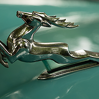 Dateiname=AZ8A8976.jpg
Dateigröße=3843KB
Abmessungen: 5472x3648
hinzugefügt am: 09. Juli 2022 AZ8A8976.jpg