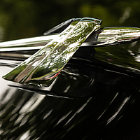 Dateiname=AZ8A8983.jpg
Dateigröße=7345KB
Abmessungen: 5472x3648
hinzugefügt am: 09. Juli 2022 AZ8A8983.jpg