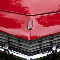 Dateiname=AZ8A9003.jpg
Dateigröße=5499KB
Abmessungen: 3648x5472
hinzugefügt am: 09. Juli 2022 AZ8A9003.jpg