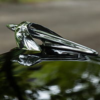 Dateiname=AZ8A9014.jpg
Dateigröße=4306KB
Abmessungen: 4819x3213
hinzugefügt am: 09. Juli 2022 AZ8A9014.jpg