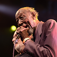 Dateiname=AZ8A9372~0.jpg
Dateigröße=7379KB
Abmessungen: 4769x3179
hinzugefügt am: 13. Mai 2023 AZ8A9372~0.jpg