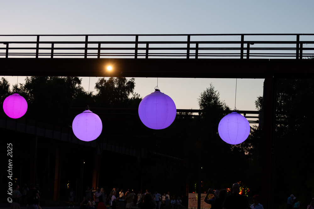20250628-AZ8A0168.jpg