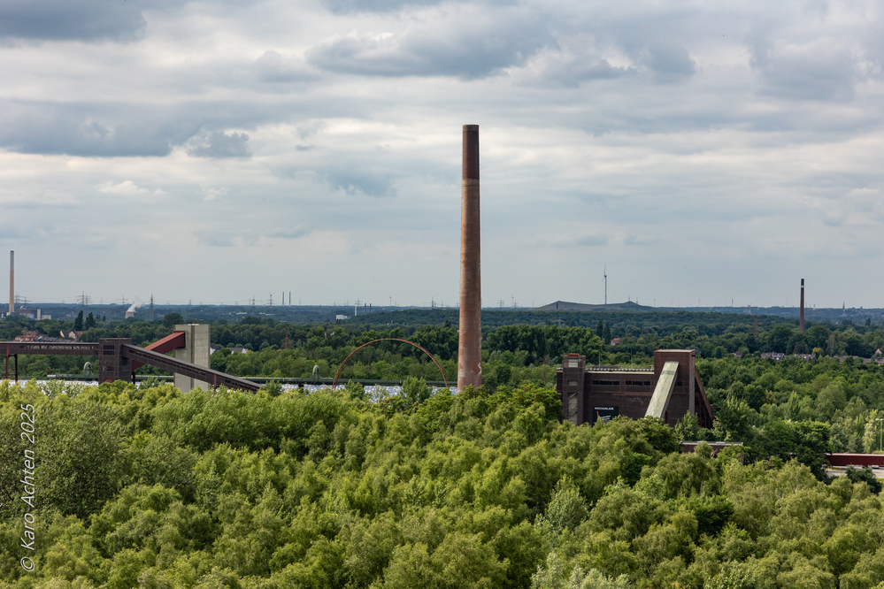 20250628-AZ8A9949.jpg