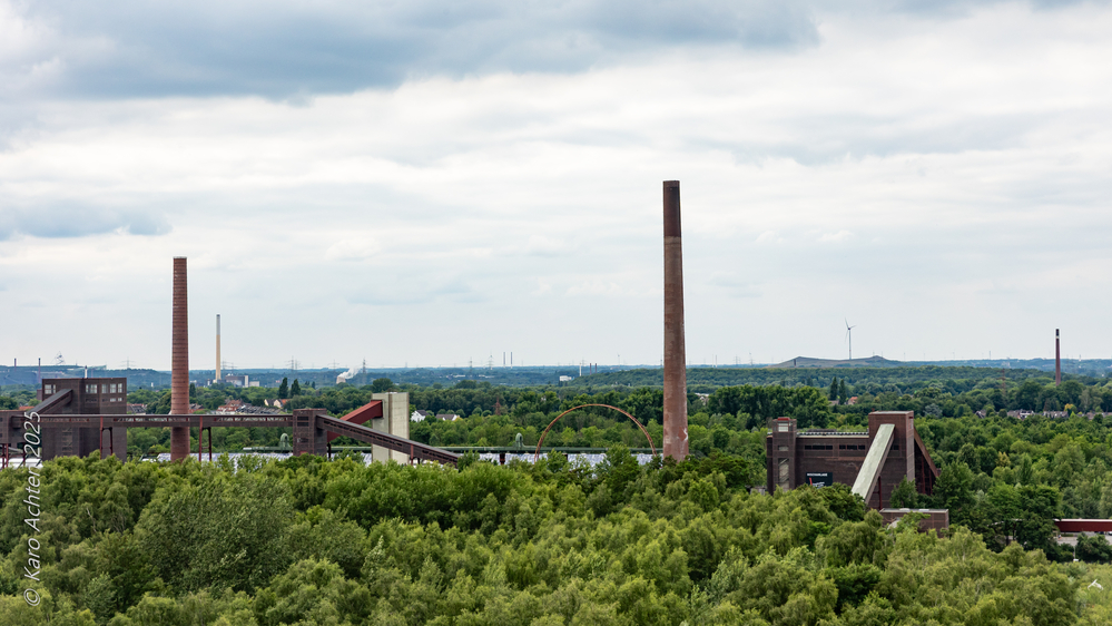 20250628-AZ8A9968.jpg