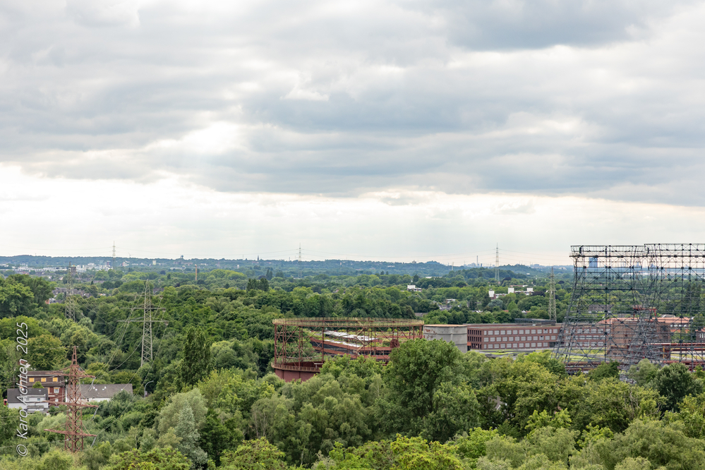 20250628-AZ8A9969.jpg