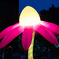 20250628-AZ8A0201.jpg